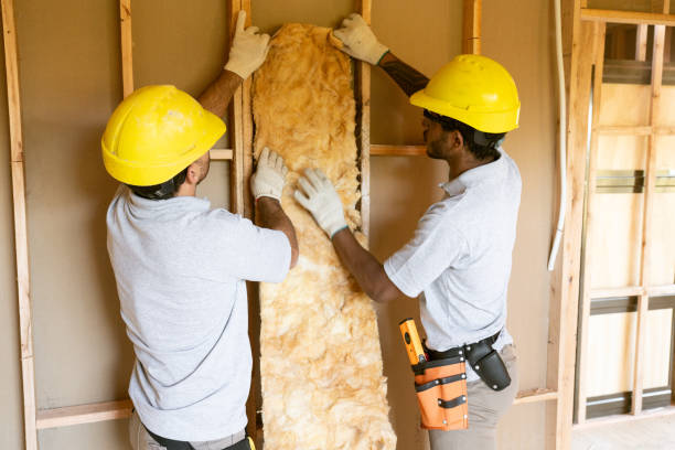 Best Insulation Inspection Services  in Waipio, HI